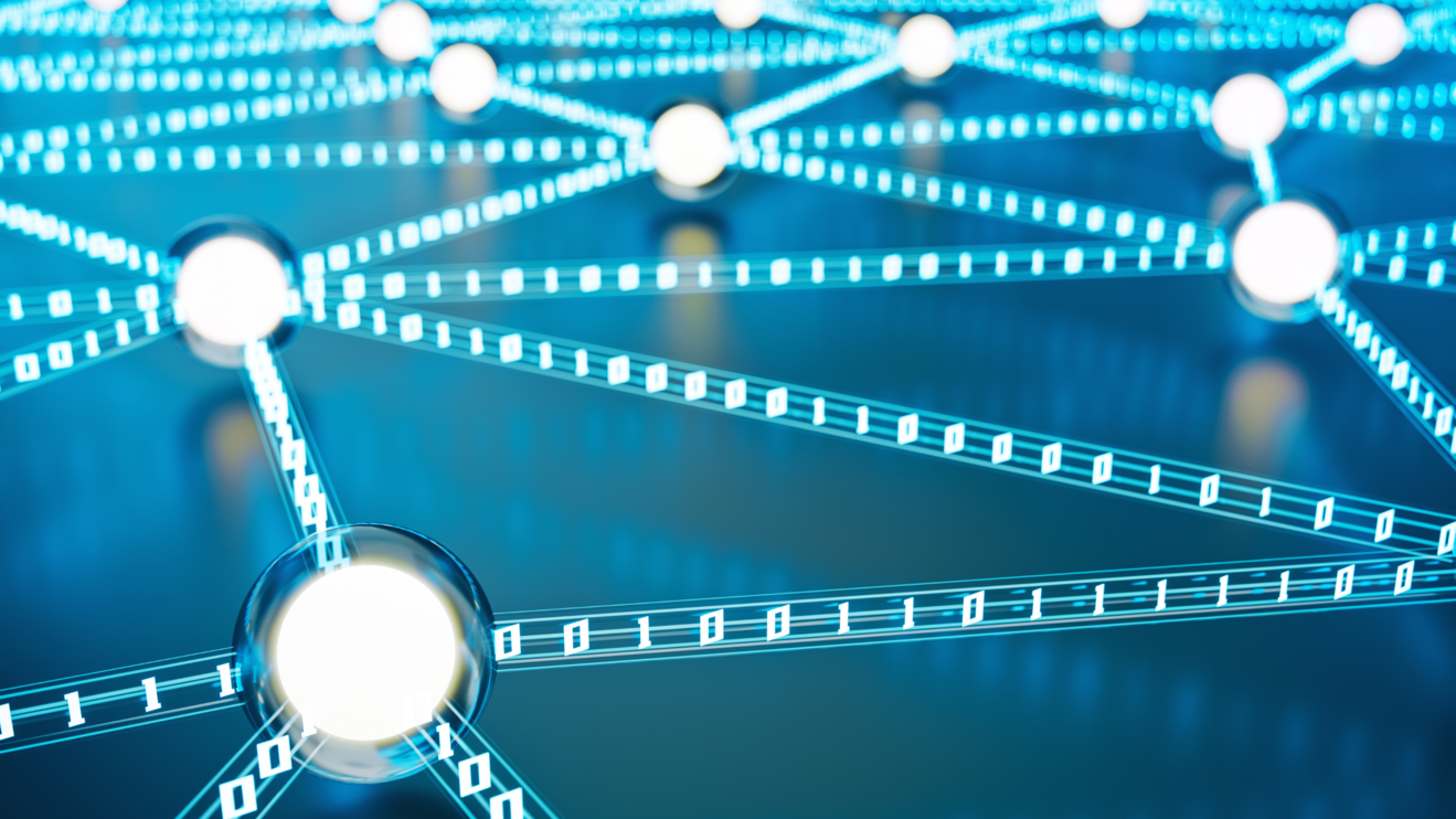 Forum on the Use of Data from the Automatic Exchange of Information ...