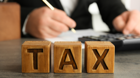 Digital Workshop on Practical Application of Double Taxation Avoidance Conventions: Tax Residency Issues